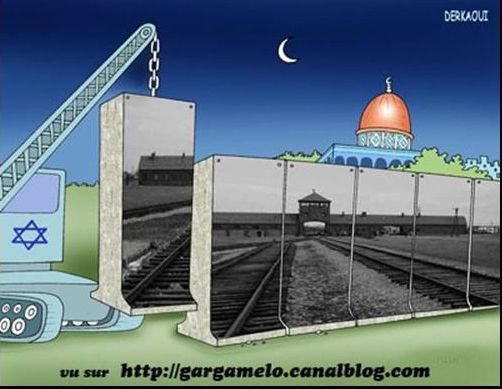 Propos antisémites et négationnistes commentant les caricatures iraniennes sur un blog internet